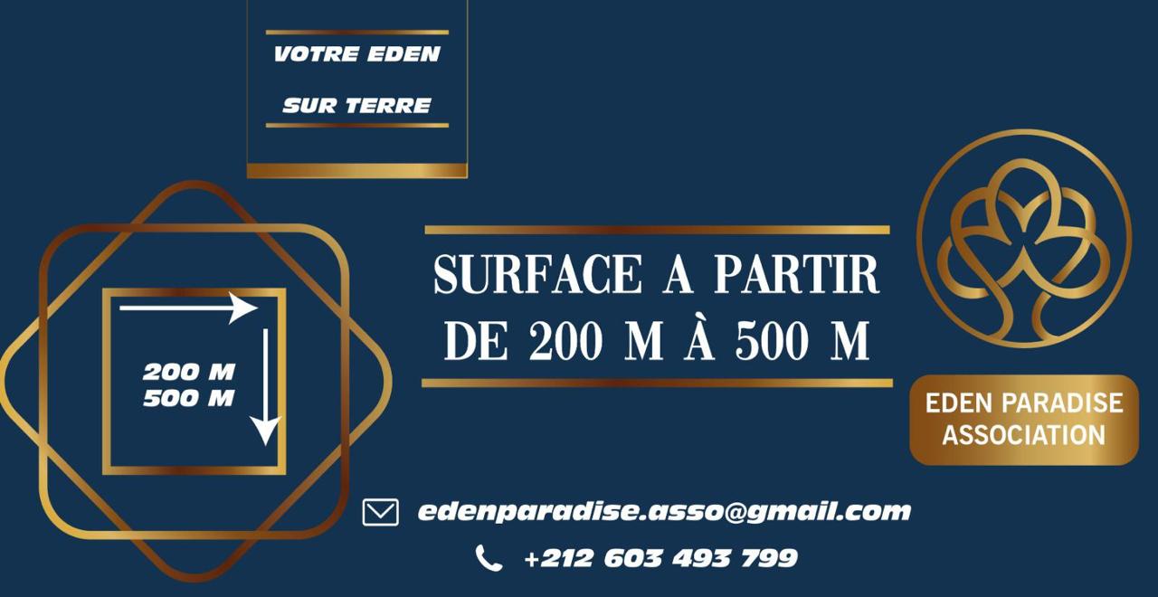 EDEN PARADISE - Image 3